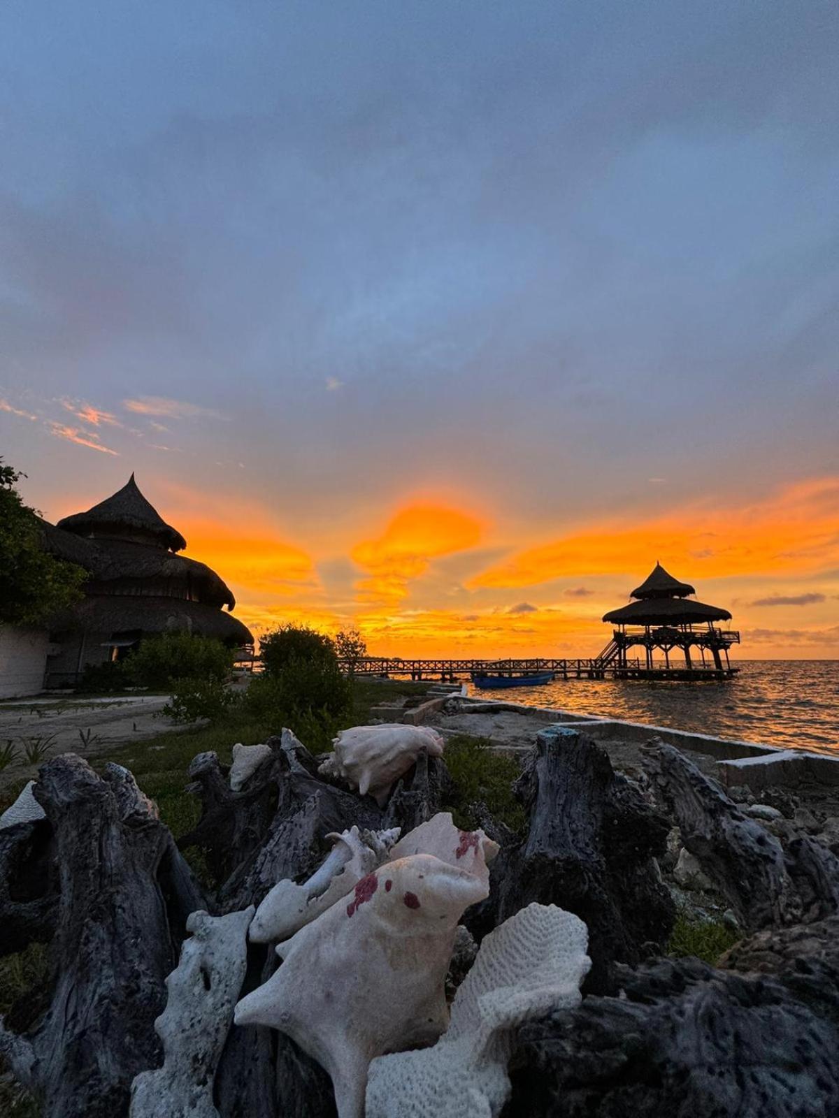 El Embrujo Tintipan Hotel Tintipan Island Bagian luar foto